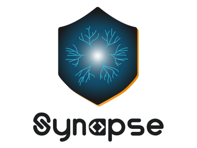 synapse-project (1)